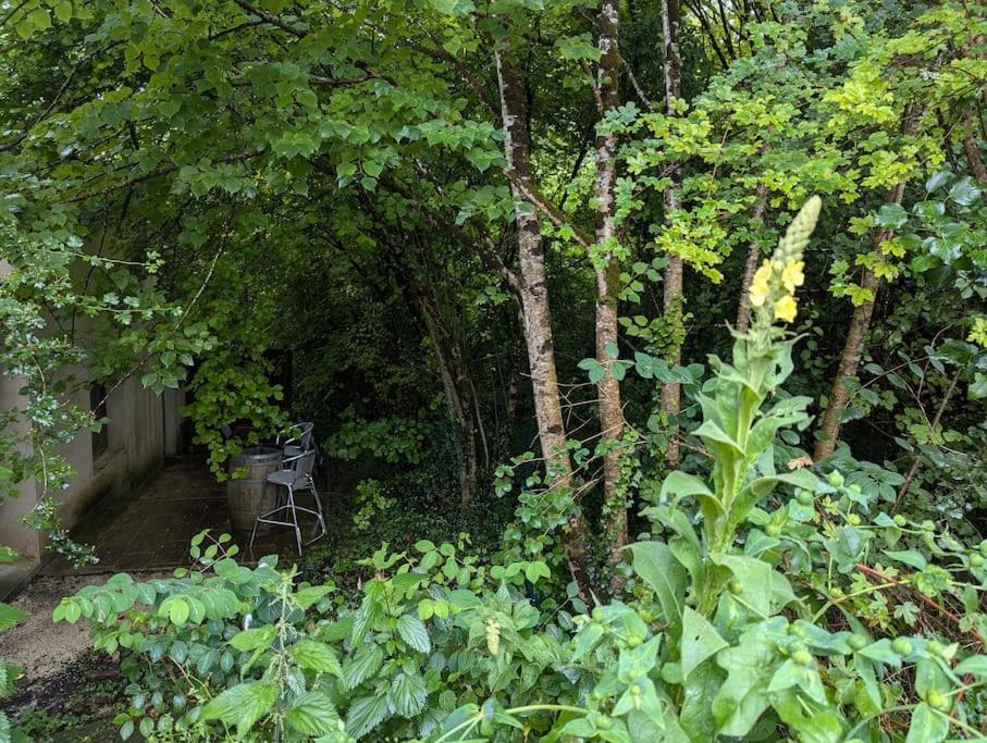 Gite Zen Dans Les Bois Blesignac Екстер'єр фото